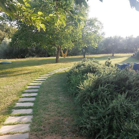 Apartment Kortine Sečovlje Екстериор снимка