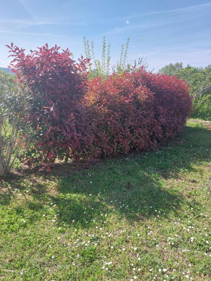 Apartment Kortine Sečovlje Екстериор снимка