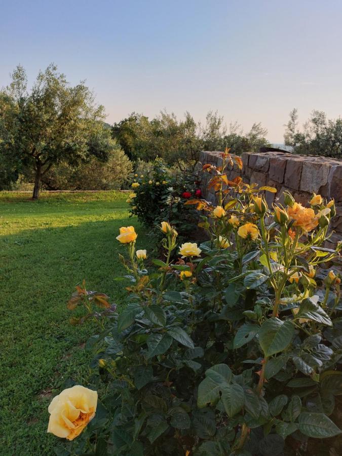 Apartment Kortine Sečovlje Екстериор снимка